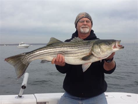 The 7 Best Striped Bass Fishing Charters in New Jersey.